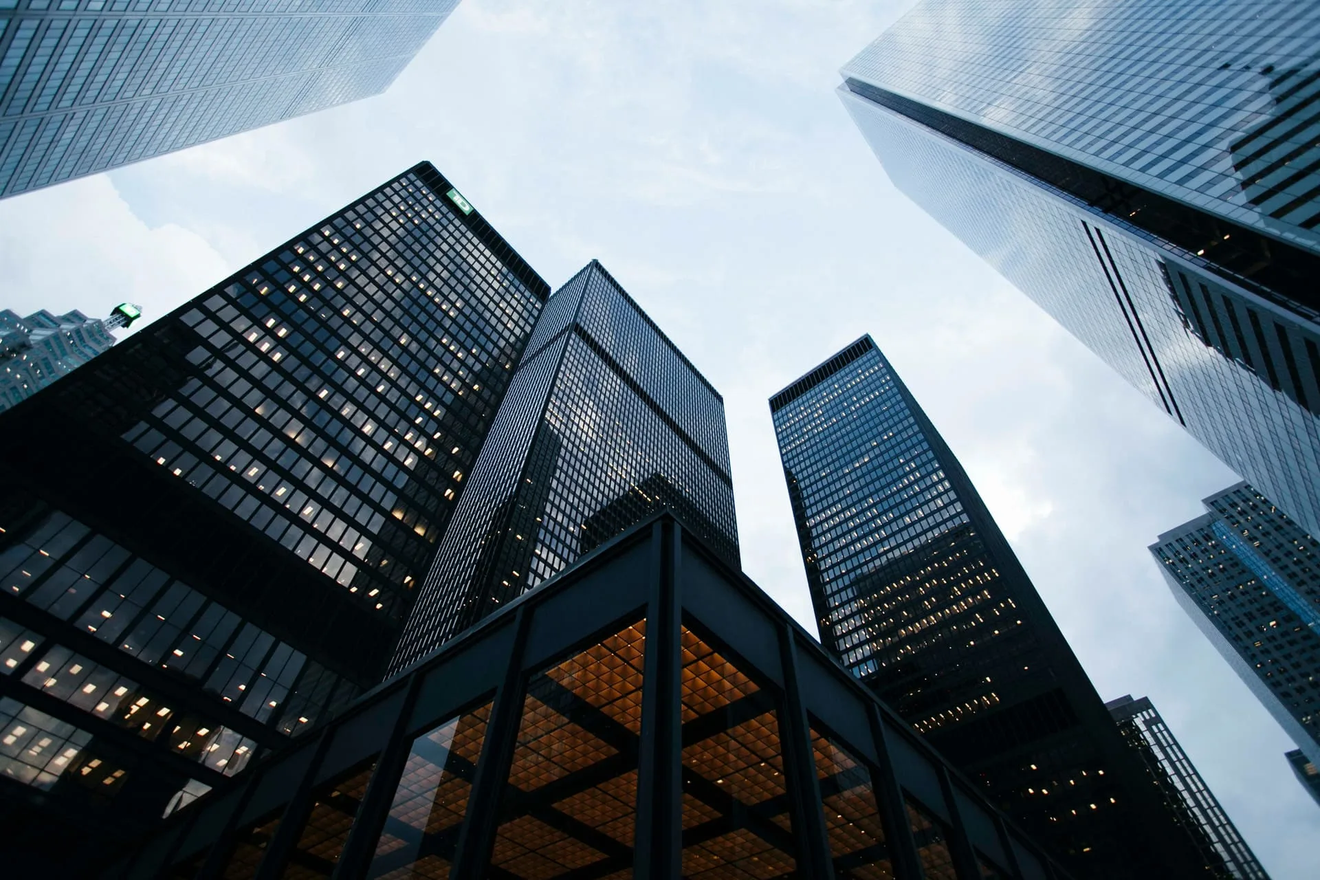 Consultancies & Investors